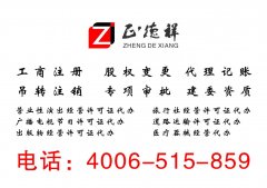 北京一人有限责任公司注册，注册北京公司
